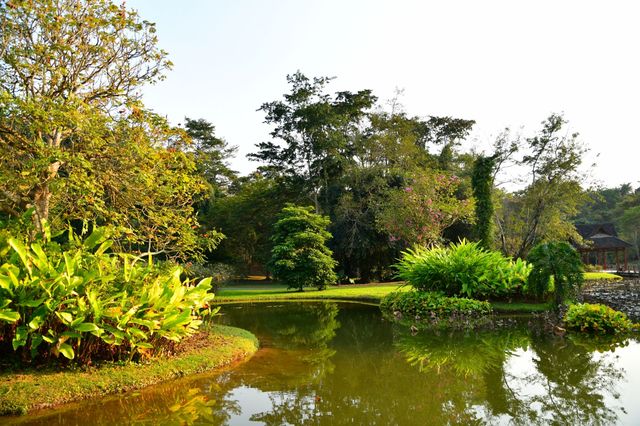 西雙版納熱帶植物園：熱帶植物王國