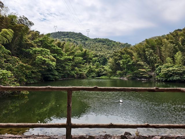 九龍源風景區徒步
