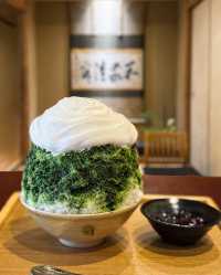 暑假推薦！京都奈良親子遊，餵小鹿坐火車