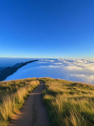 Wugong Mountain: A Grassland in the Clouds, A Hiker's Paradise