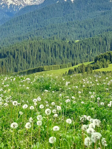 伊犁南疆19天大環線路線｜Trip.com 塔什庫爾幹