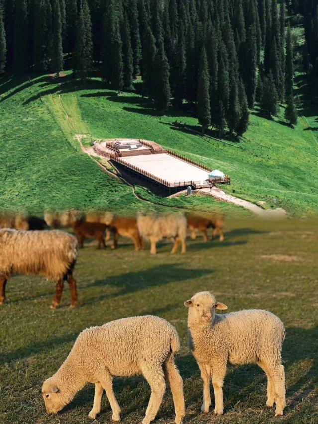 伊犁南疆19天大環線路線｜Trip.com 塔什庫爾幹