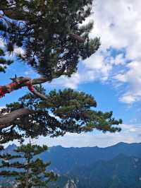 2025年6月5日下午半日華山五峰飛