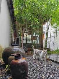 住進清代徽派古宅會係點樣嘅全新體驗