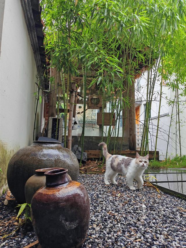 住進清代徽派古宅會係點樣嘅全新體驗