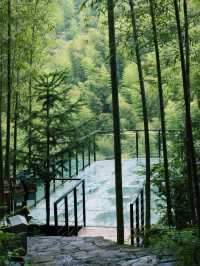 莫干山碧坞龍潭｜0元玩水秘境！獨享「竹林瀑布