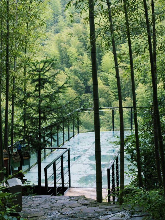 莫干山碧坞龍潭｜0元玩水秘境！獨享「竹林瀑布