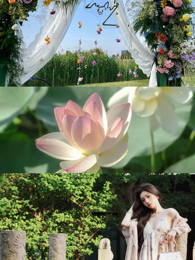 上海周邊太湖心動秘境！睇完就想出發