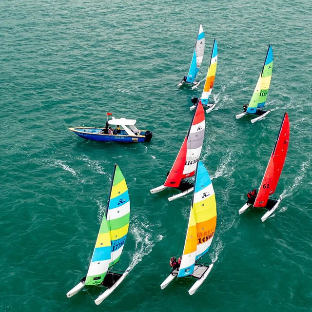 ⛵️【西貢海灣吹風!Hobie帆船賽靚到想落海】  ⛵️【西貢海灣吹風!Hobie帆船賽靚到想落海】