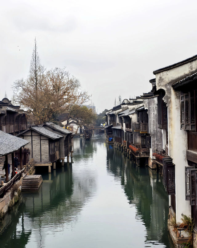 烏鎮：煙雨入江南 山水如墨染