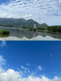 探秘「華中屋脊」，邂逅野人傳說！