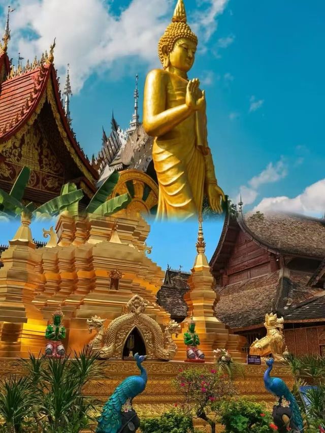 西雙版納超全旅遊攻略｜一篇在手，版納我有