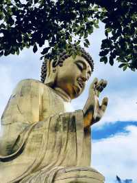 重慶华岩寺六月荷花展