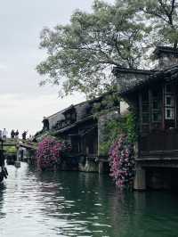枕水江南，烏鎮的兩天一夜慢時光搖櫓船劃過石板橋，喚醒了一整個江南的溫柔  Day1：東柵漫步