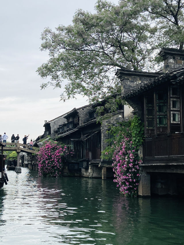 枕水江南，烏鎮的兩天一夜慢時光搖櫓船劃過石板橋，喚醒了一整個江南的溫柔  Day1：東柵漫步
