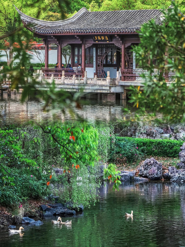 台州隱藏版園林！烏篷船入畫太治癒