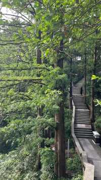 廬山避暑｜暑期優惠，解鎖清涼仙境