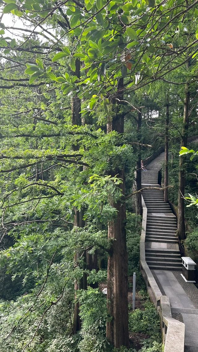 廬山避暑｜暑期優惠，解鎖清涼仙境