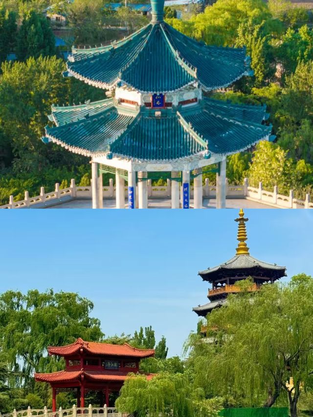 淄博返嚟啦，朋友圈問到爆嘅地方。