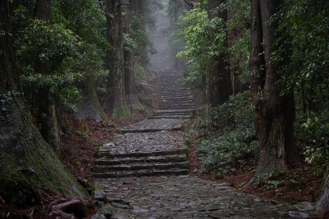 古道上的幽玄：熊野中邊路的文藝冥想