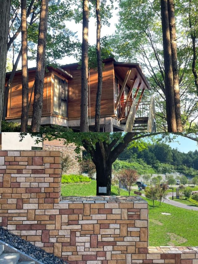 雲端仙山藏秘境——遠安太平頂森林公園漫遊指南