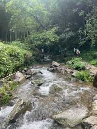 親子玩水秘境！上王崗溯溪免繞路攻略