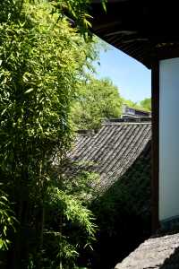 紹興氛圍感旅行圖鑑 | 被這座城狠狠拿捏了！ 在諸暨山下湖珍珠博物館開蚌的瞬間，指尖觸到圓潤珍珠的剎