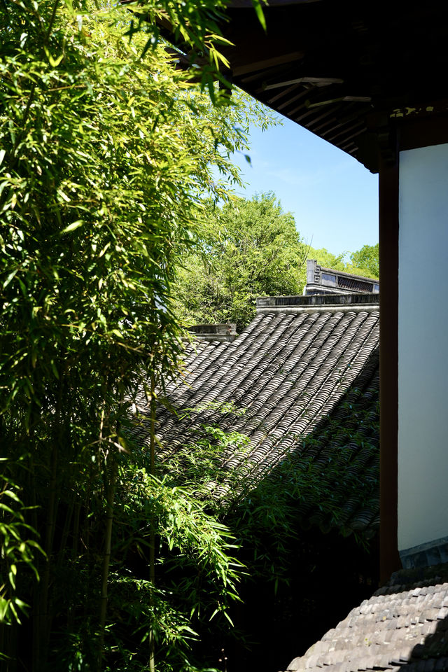 紹興氛圍感旅行圖鑑 | 被這座城狠狠拿捏了！ 在諸暨山下湖珍珠博物館開蚌的瞬間，指尖觸到圓潤珍珠的剎