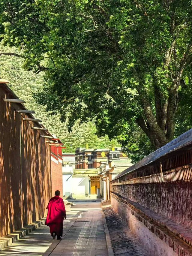 甘南旅行，總有一天你會踏上的夢幻之地