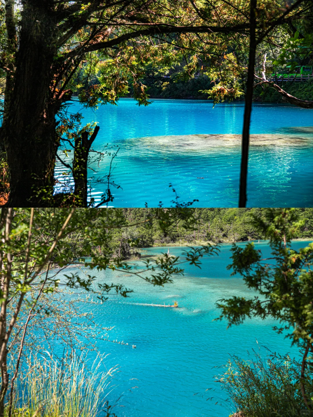 🔥Who hasn't visited 25°C Jiuzhaigou in the middle of summer yet~