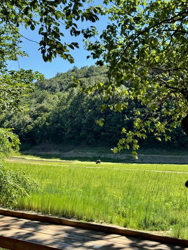 信陽3日2夜小眾景靚，躺平睇山睇水