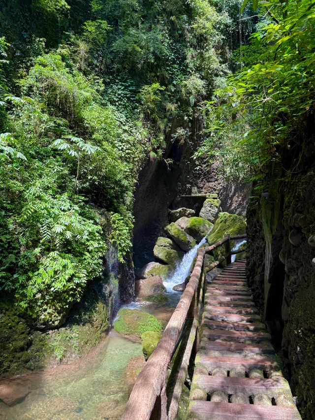夏日消暑推介！青城後山玩水勝地週末快啲去打卡！