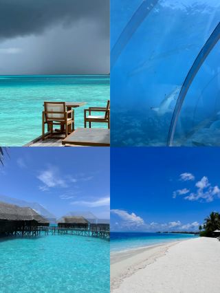 Reality is more romantic than fairy tales! The elevator to the seabed really exists, and the experience is absolutely amazing