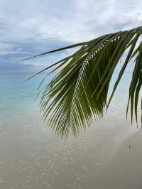 Best House Reef Snorkeling at NH Collection