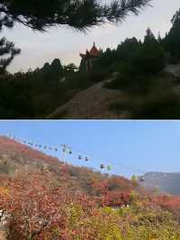 秋色漸染太行峽谷