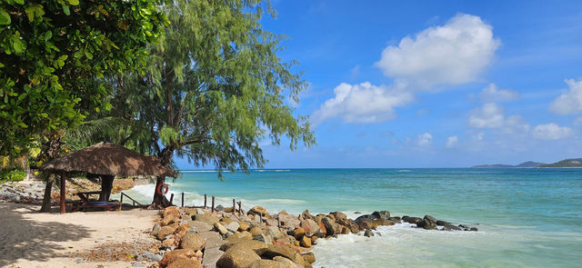 "A Little Gem on Praslin Island"