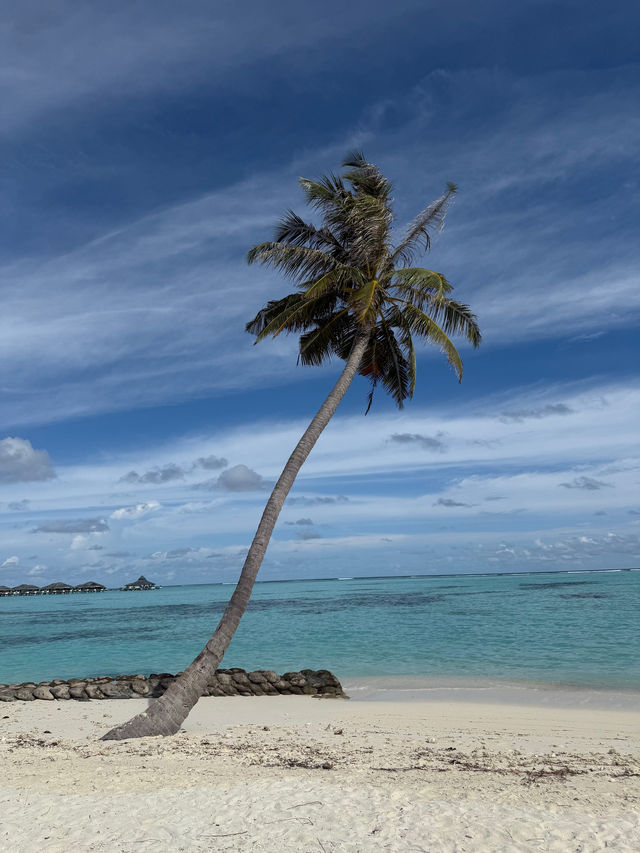 A Memorable and Peaceful Island Retreat