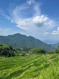 麗水雲和梯田|千層天梯雲上繞 日出雲海漫鏡田