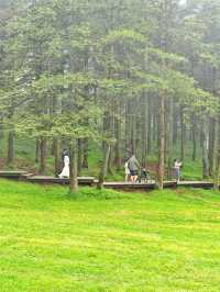重慶仙女山，邂逅南國草原，探秘原始森林