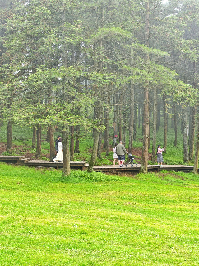重慶仙女山，邂逅南國草原，探秘原始森林