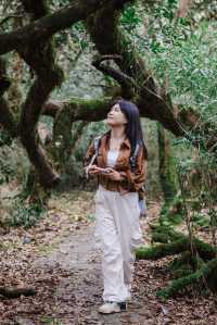 人擠人的桂林陽朔，貓兒山才是正確打開方式
