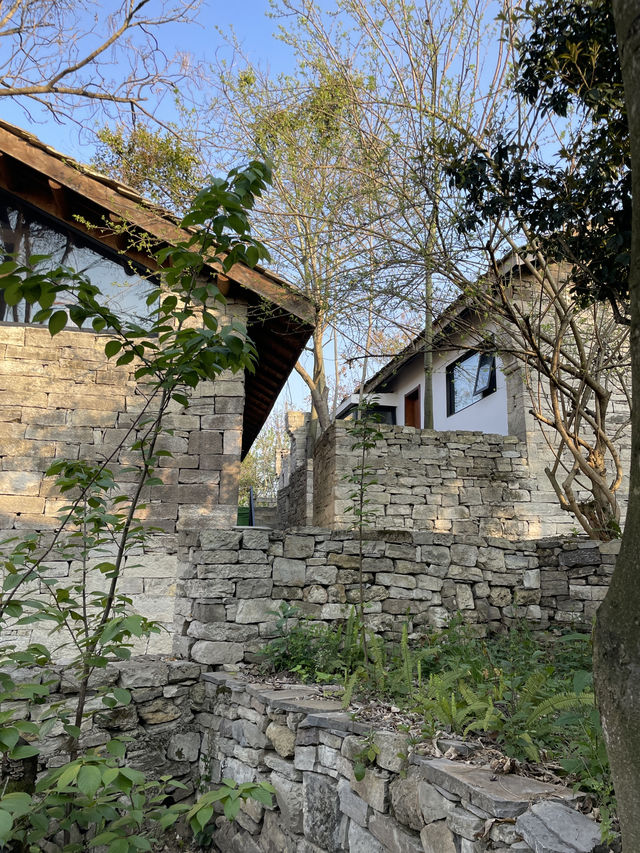 Village Nature Bliss🌳