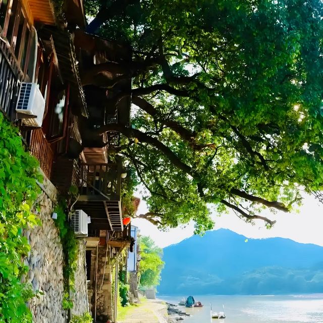 浙江麗水旅遊攻略
