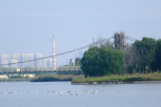 天津小眾秘境｜西青郊野公園遊玩拍照全攻略
