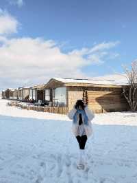 私藏雪景拍照聖地香格里拉民宿