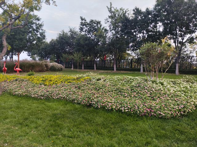 國慶節自駕遊-3號晚上太原植物園