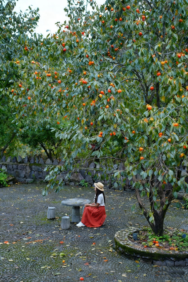 四明山曬秋封神啦