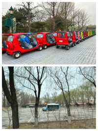 北京野生動物園超全攻略