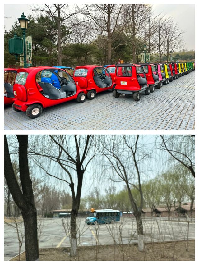 北京野生動物園超全攻略 北京野生動物園超全攻略