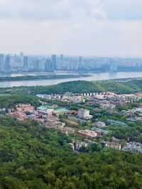 帶小學課本爬嶽麓山，在愛晚亭讀懂了楓林晚